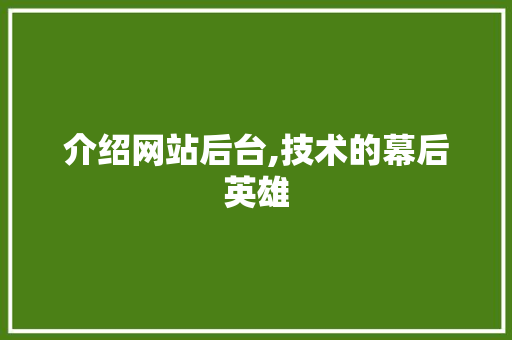 介绍网站后台,技术的幕后英雄 介绍网站后台,技术的幕后英雄 360搜优化