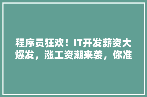 程序员狂欢！IT开发薪资大爆发，涨工资潮来袭，你准备好了吗 360搜优化