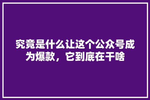 究竟是什么让这个公众号成为爆款，它到底在干啥 AI技术学习