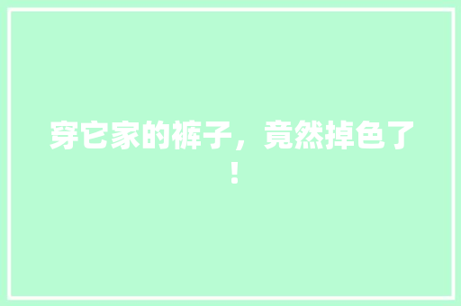 穿它家的裤子，竟然掉色了！