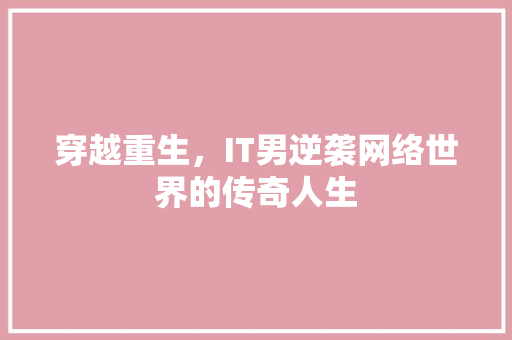 穿越重生，IT男逆袭网络世界的传奇人生