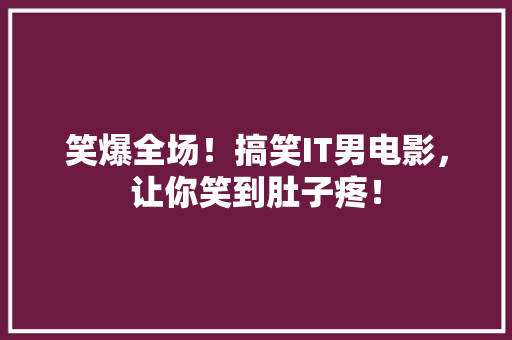 笑爆全场！搞笑IT男电影，让你笑到肚子疼！