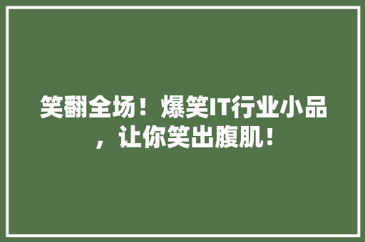 笑翻全场！爆笑IT行业小品，让你笑出腹肌！