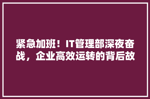 紧急加班！IT管理部深夜奋战，企业高效运转的背后故事