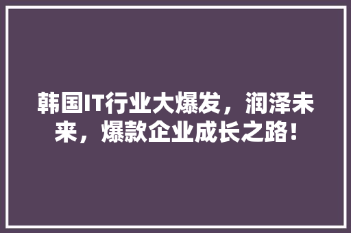 韩国IT行业大爆发，润泽未来，爆款企业成长之路！