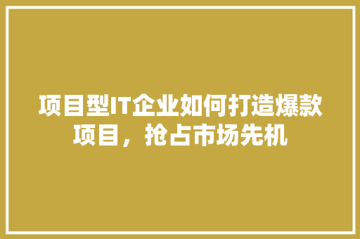 项目型IT企业如何打造爆款项目，抢占市场先机