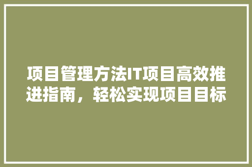 项目管理方法IT项目高效推进指南，轻松实现项目目标