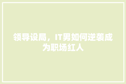 领导设局，IT男如何逆袭成为职场红人