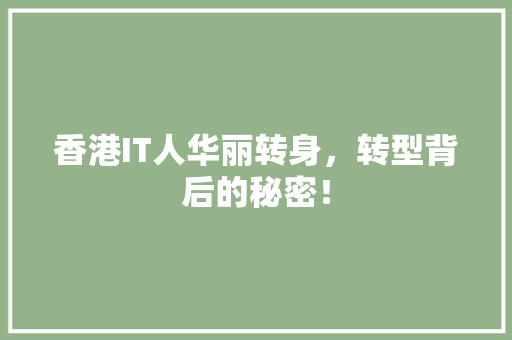 香港IT人华丽转身，转型背后的秘密！ 英文谷歌算法