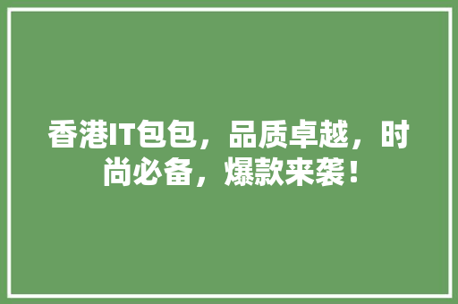 香港IT包包，品质卓越，时尚必备，爆款来袭！ 网站开发