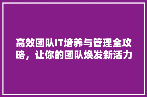高效团队IT培养与管理全攻略，让你的团队焕发新活力！