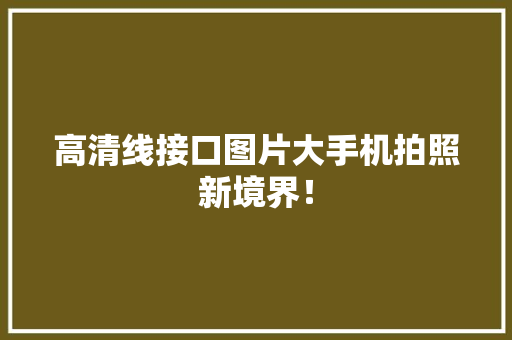 高清线接口图片大手机拍照新境界！