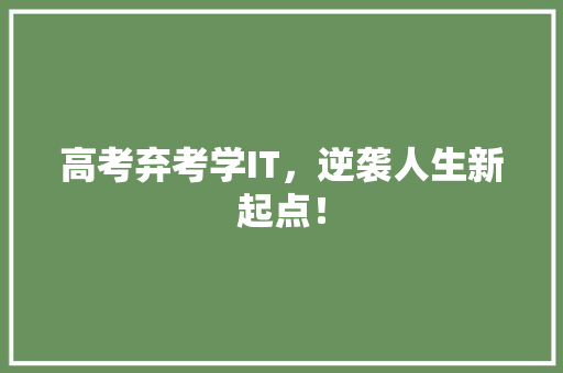 高考弃考学IT，逆袭人生新起点！ 网站开发