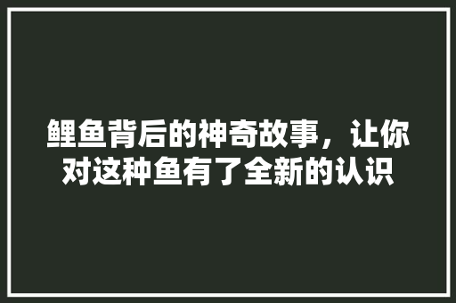 鲤鱼背后的神奇故事，让你对这种鱼有了全新的认识