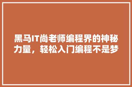 黑马IT尚老师编程界的神秘力量，轻松入门编程不是梦！