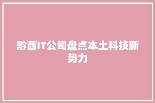 黔西IT公司盘点本土科技新势力