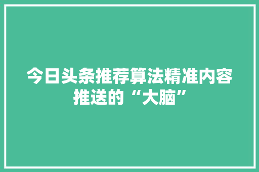 今日头条推荐算法精准内容推送的“大脑”