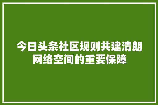 今日头条社区规则共建清朗网络空间的重要保障 seo技术