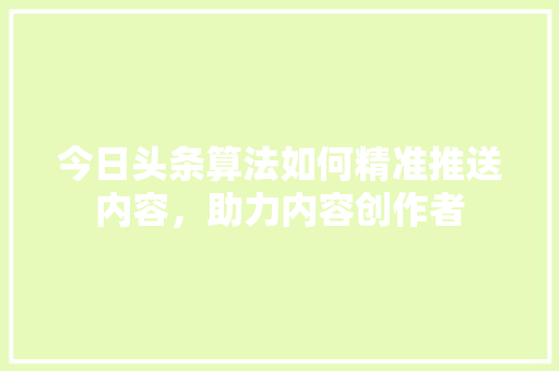 今日头条算法如何精准推送内容，助力内容创作者