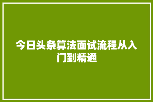 今日头条算法面试流程从入门到精通