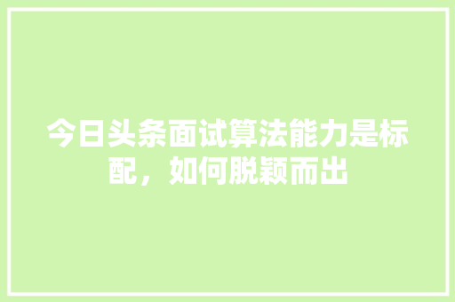 今日头条面试算法能力是标配，如何脱颖而出