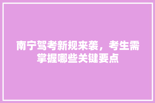 南宁驾考新规来袭，考生需掌握哪些关键要点 网站开发