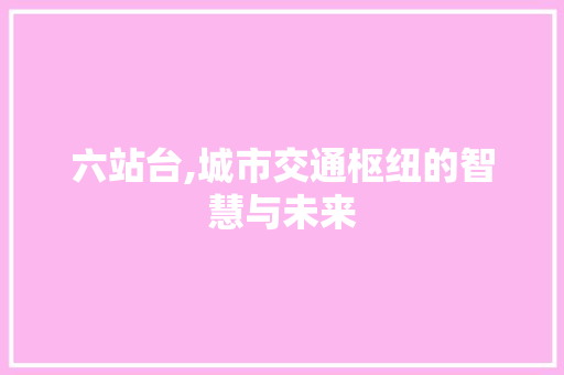 六站台,城市交通枢纽的智慧与未来