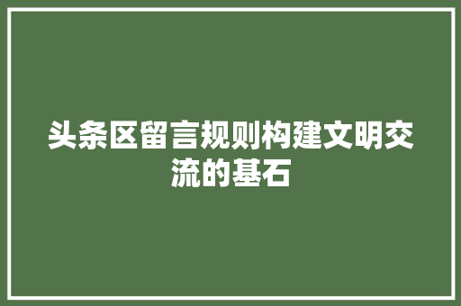 头条区留言规则构建文明交流的基石