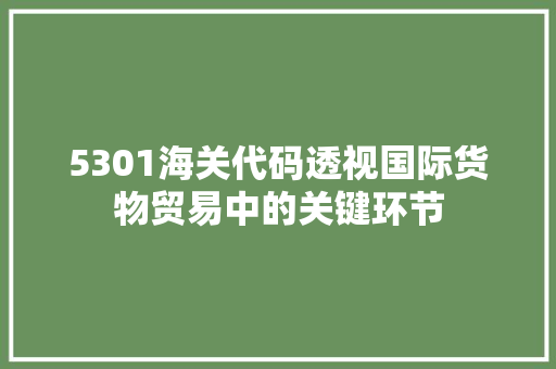 5301海关代码透视国际货物贸易中的关键环节