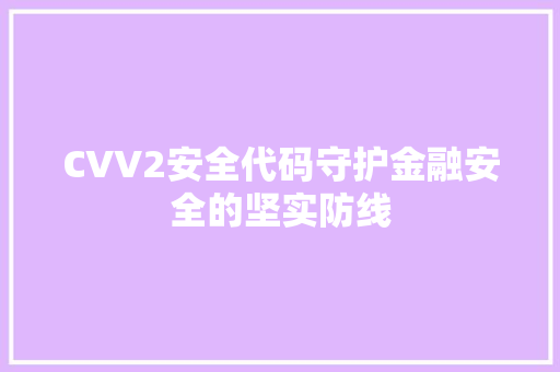 CVV2安全代码守护金融安全的坚实防线 网站优化