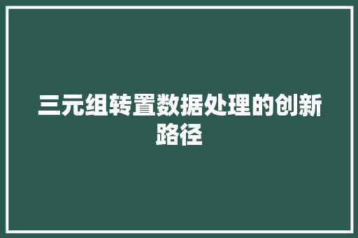 三元组转置数据处理的创新路径 英文谷歌算法