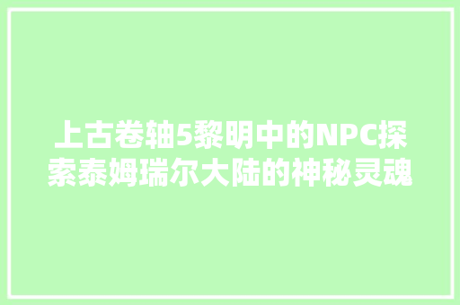 上古卷轴5黎明中的NPC探索泰姆瑞尔大陆的神秘灵魂