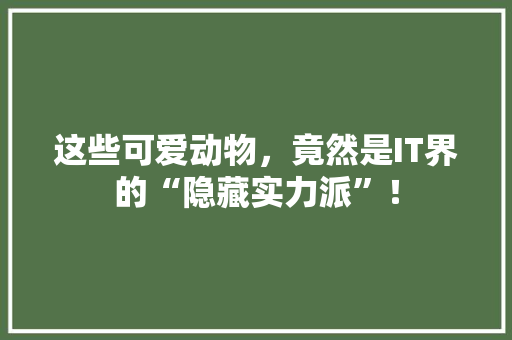 这些可爱动物，竟然是IT界的“隐藏实力派”！