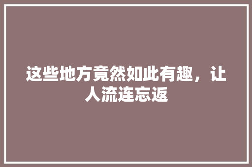 这些地方竟然如此有趣，让人流连忘返