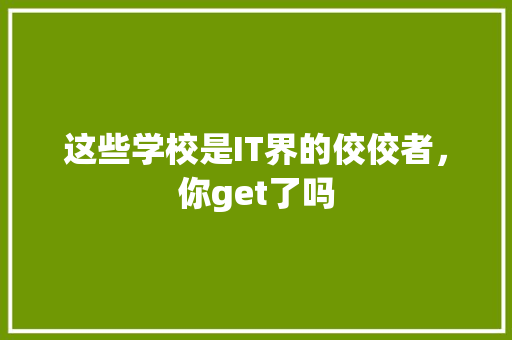 这些学校是IT界的佼佼者，你get了吗 seo技术
