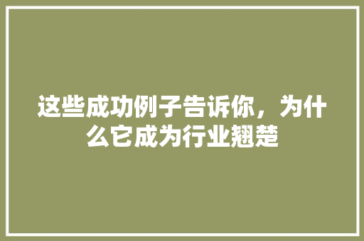 这些成功例子告诉你，为什么它成为行业翘楚