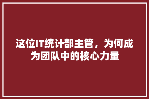 这位IT统计部主管，为何成为团队中的核心力量