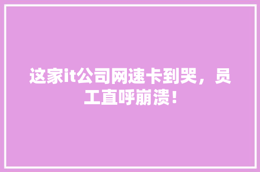 这家it公司网速卡到哭，员工直呼崩溃！ 搜狗优化
