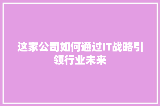 这家公司如何通过IT战略引领行业未来 网站优化