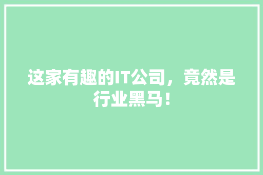这家有趣的IT公司，竟然是行业黑马！ AI技术学习