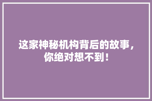 这家神秘机构背后的故事，你绝对想不到！ seo技术
