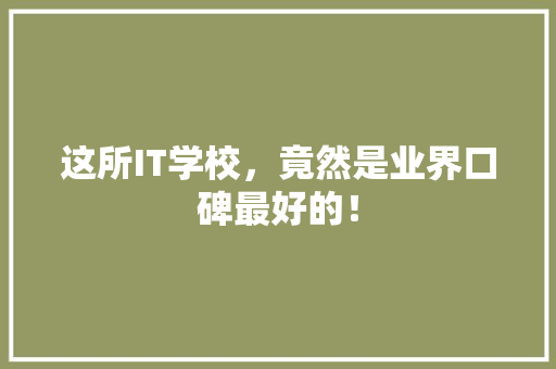 这所IT学校，竟然是业界口碑最好的！ 360搜优化