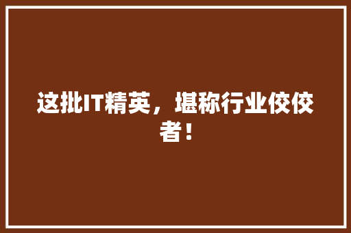 这批IT精英，堪称行业佼佼者！ 小程序开发