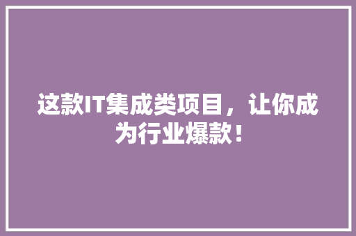 这款IT集成类项目，让你成为行业爆款！