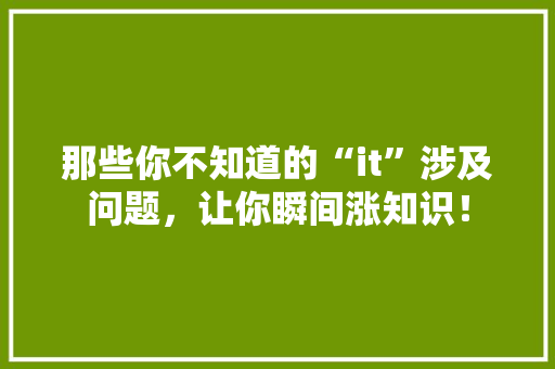 那些你不知道的“it”涉及问题，让你瞬间涨知识！