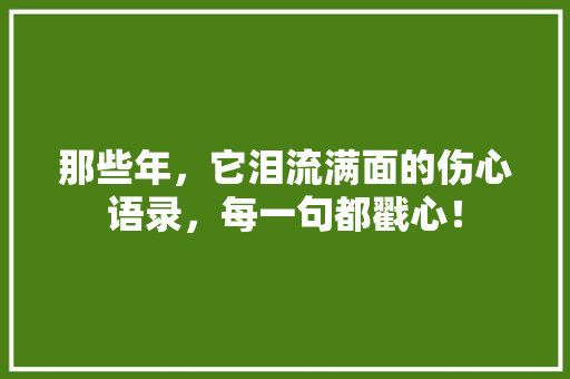 那些年，它泪流满面的伤心语录，每一句都戳心！