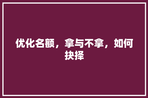 优化名额，拿与不拿，如何抉择 优化名额，拿与不拿，如何抉择 AI技术学习