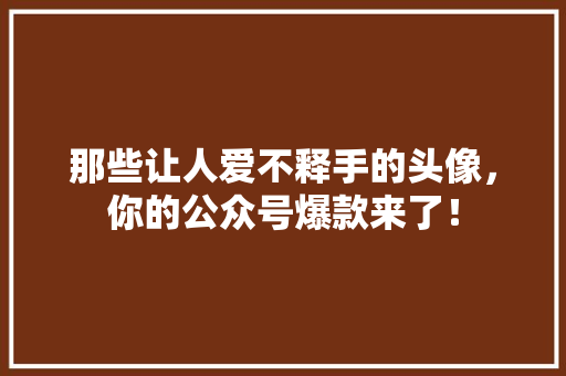 那些让人爱不释手的头像，你的公众号爆款来了！ 搜狗优化