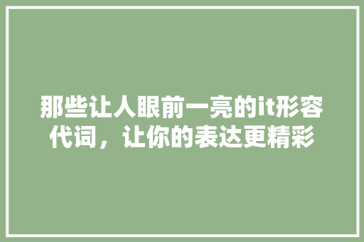 那些让人眼前一亮的it形容代词，让你的表达更精彩
