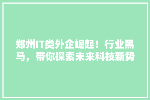 郑州IT类外企崛起！行业黑马，带你探索未来科技新势力